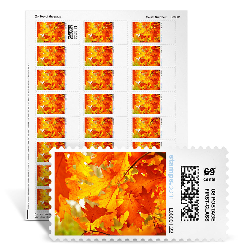 Turning Leaves NetStamps – Stamps.com Supplies Store display picture 1