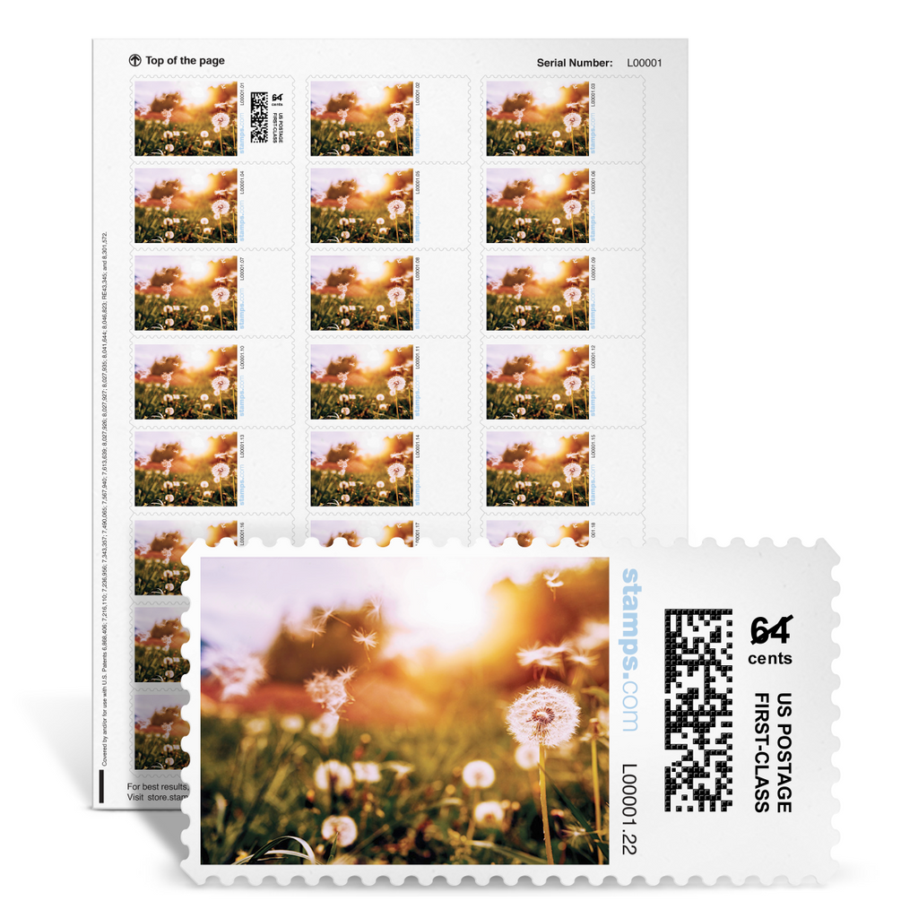 Dandelion Wishes NetStamps® Supplies Store