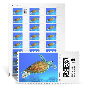 Hawksbill Turtle NetStamps<sup>&reg;</sup>