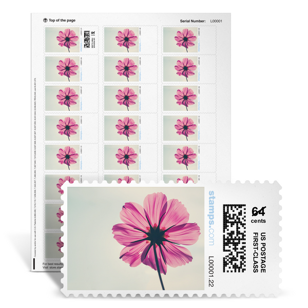  Green Succulent Sheet of 10 Global USPS First Class International  Forever Postage Stamps (2) : Office Products